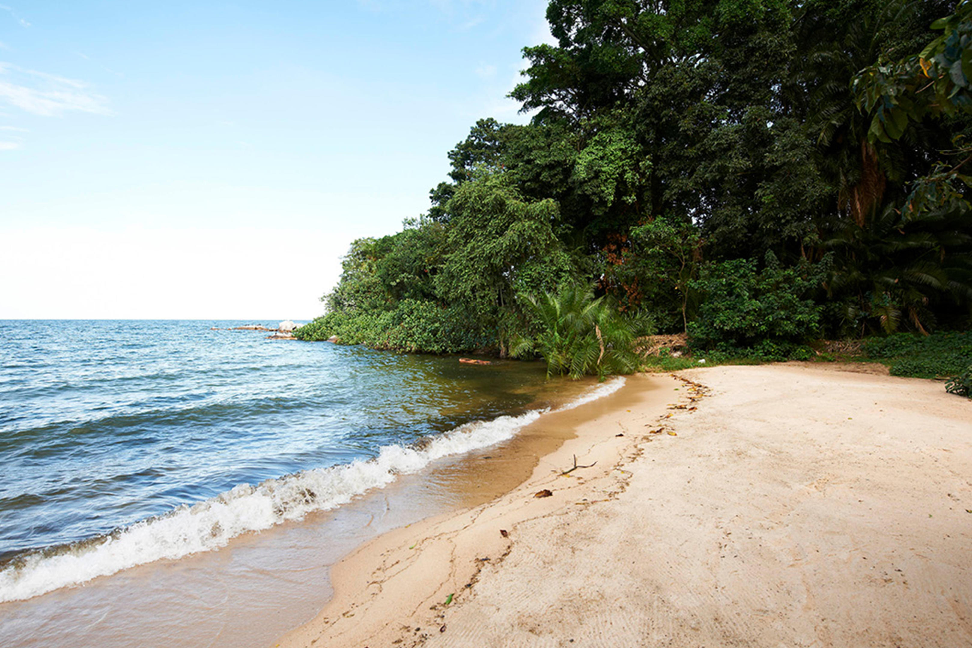 Rubondo Island Camp thumbnail 11